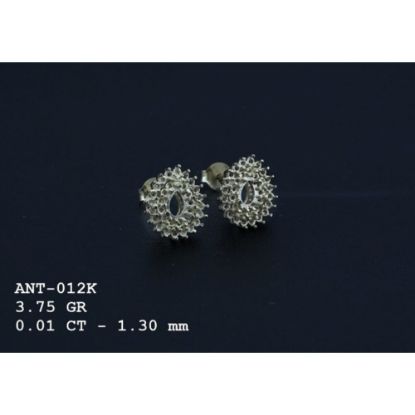 Picture of ANT012K