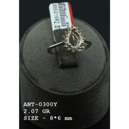 Picture of ANT0300Y