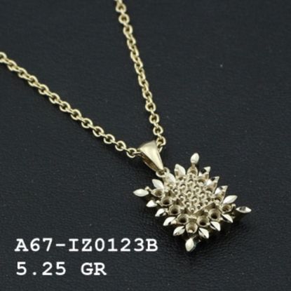 Picture of A67IZ0123B