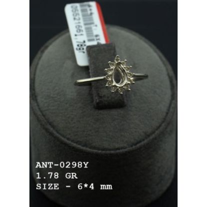 Picture of ANT0298Y