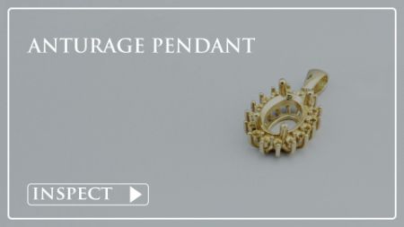 Picture for category Anturage Pendant