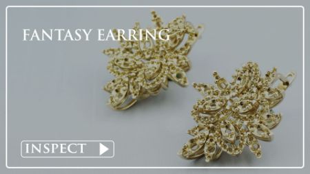 Picture for category Fantasy Earring