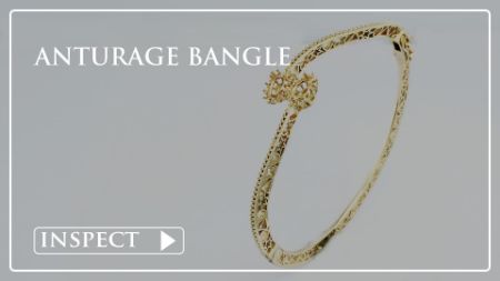 Picture for category Anturage Bangle