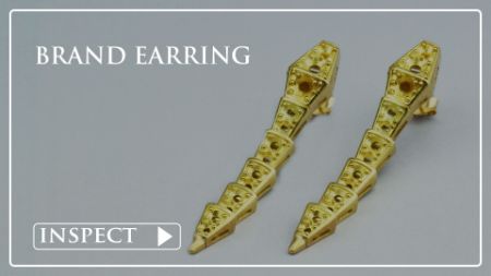 Picture for category Brand Earring